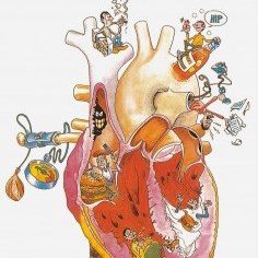 Cuidando el corazón