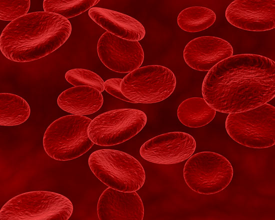 Los orígenes de la hemofilia
