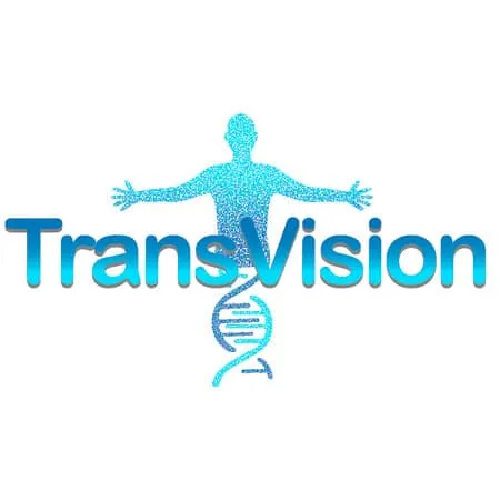 Transvision