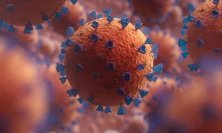 Coronavirus