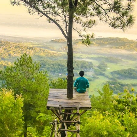 ¿Qué es la educación ambiental y por qué es importante?