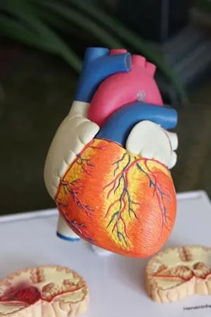 Valoración del daño orgánico