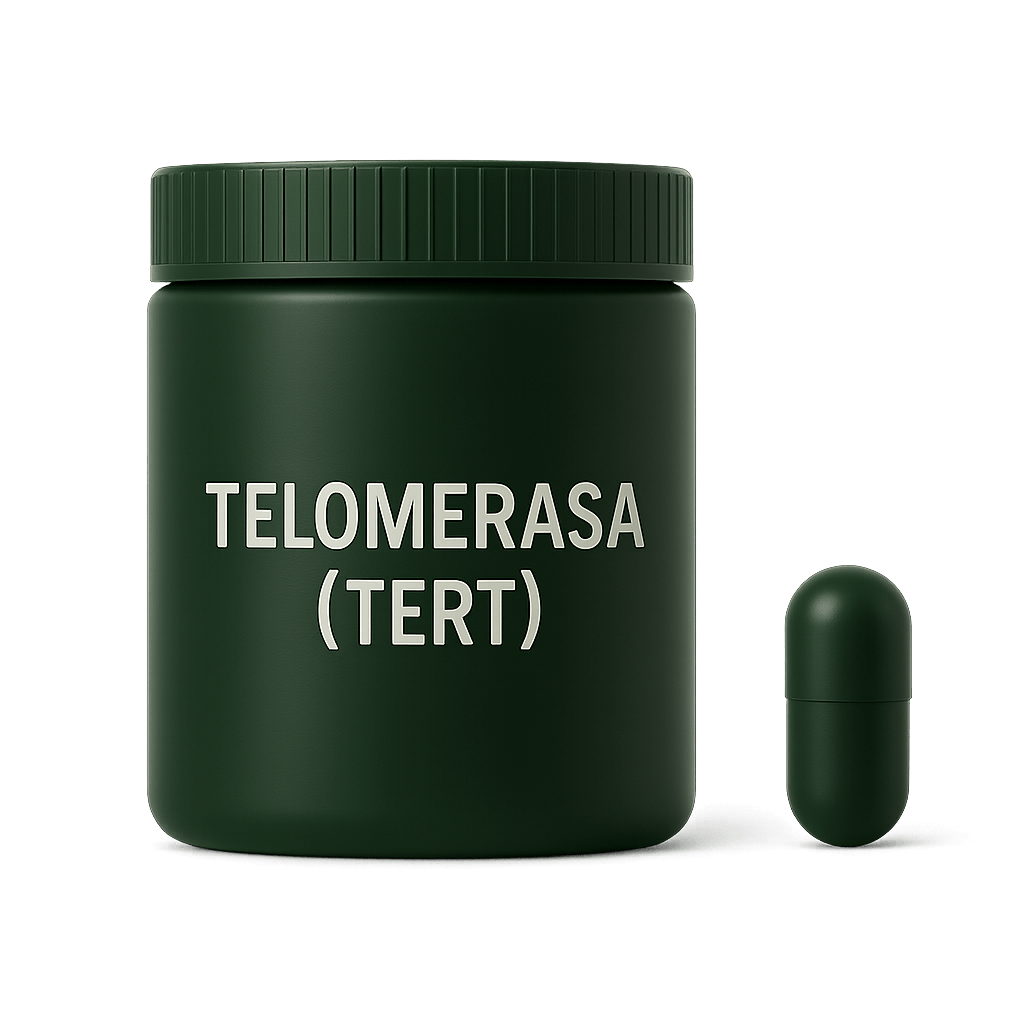 Telomerasa (TERT)