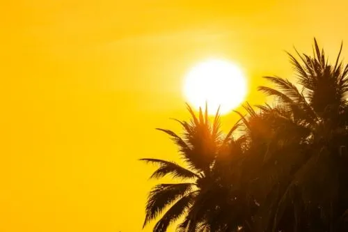 ¿Cuáles son los síntomas de la falta de vitamina D?