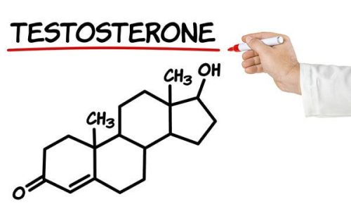 Testosterona